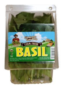Food Clamshell Container