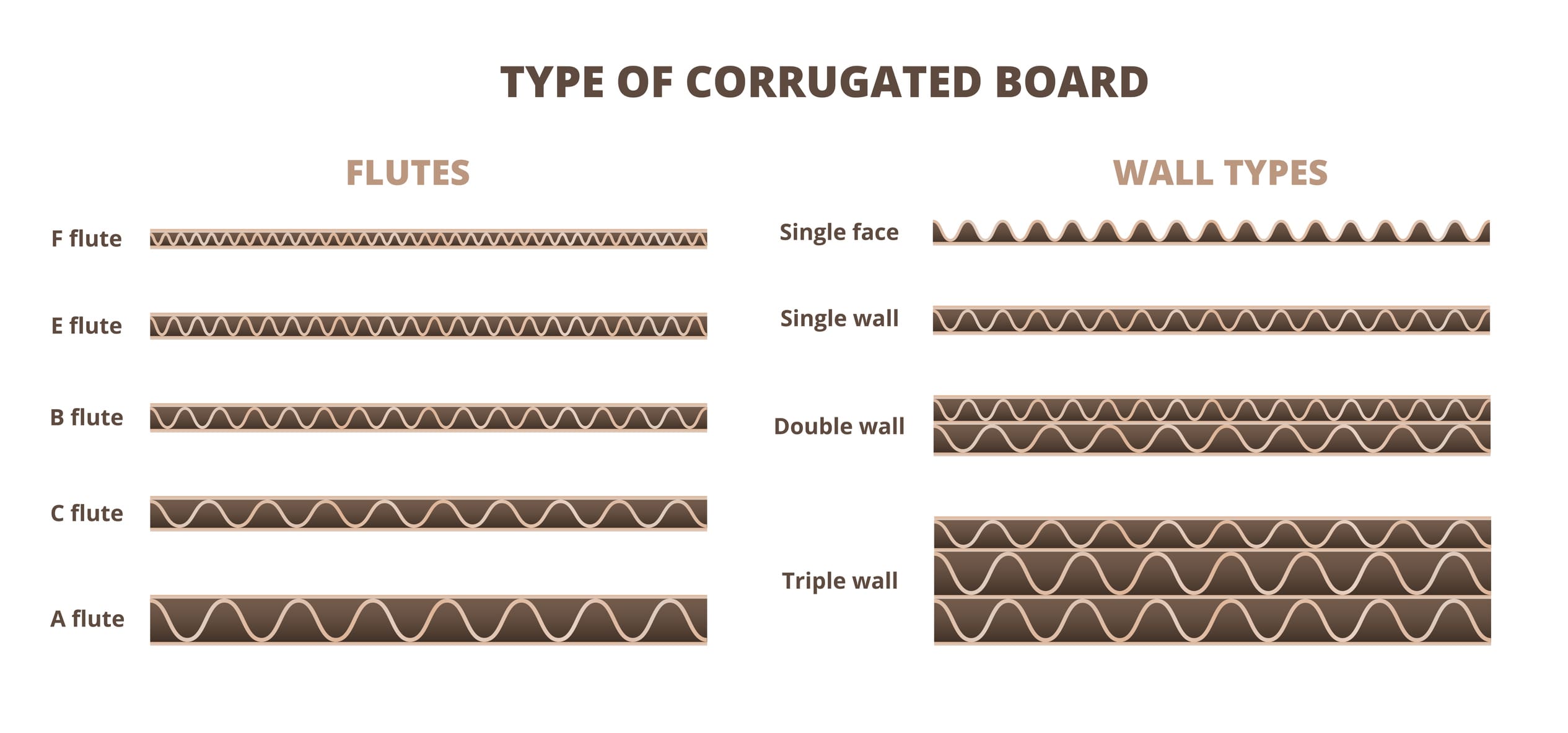 Vector scheme, type of corrugated board or cardboard isolated on white. Cardboard flute typical and usual grades, sizes, or types. Single face, single wall, double wall, triple wall corrugated.