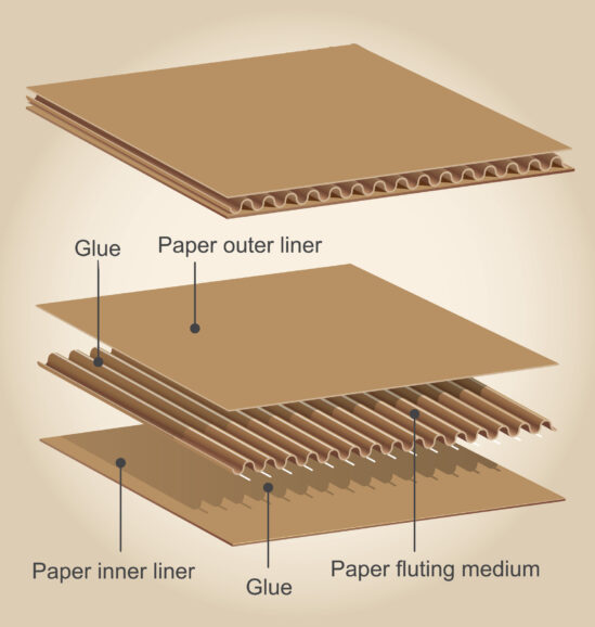 Different parts of a cardboard