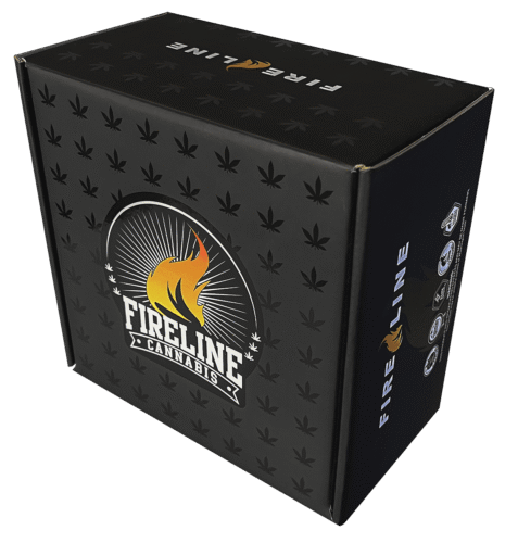 Printed Corrugated Mailer Box