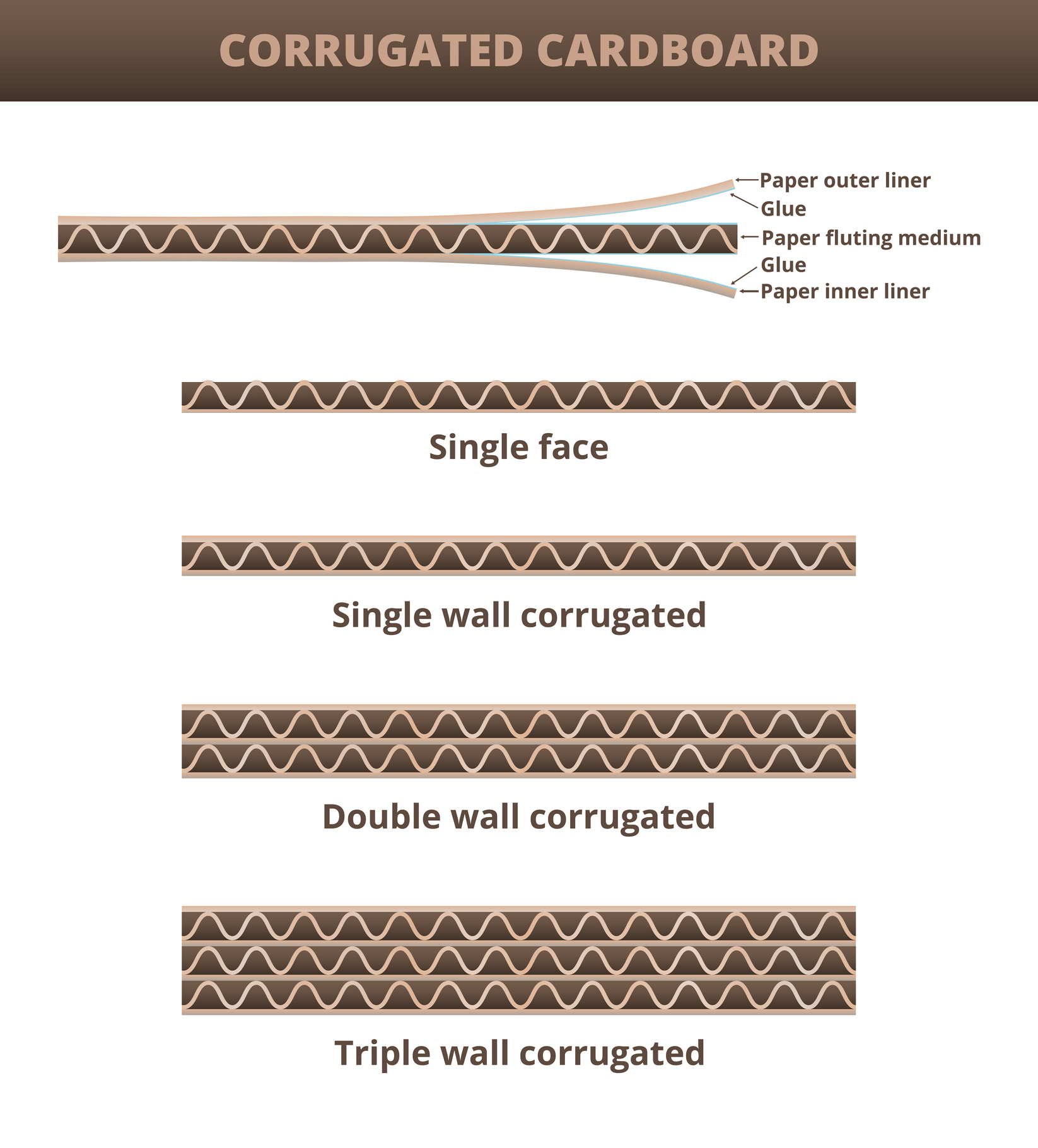 Corrugated Walls