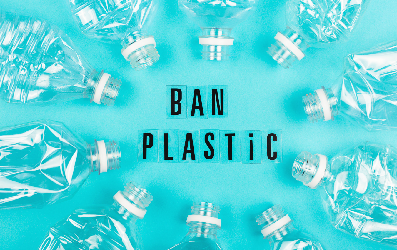 California's Push Against Single-Use Plastics: Impact on Packaging