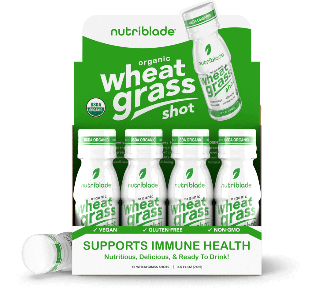 pngegg - 2025-01-22T080432.785