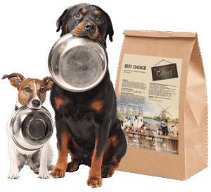 Sustainable Pet Food Packaging Options