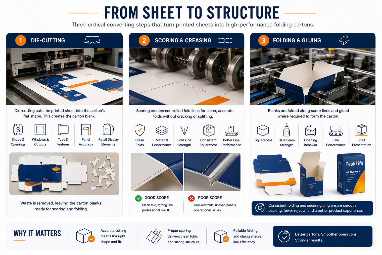 From sheet to structure: carton production process