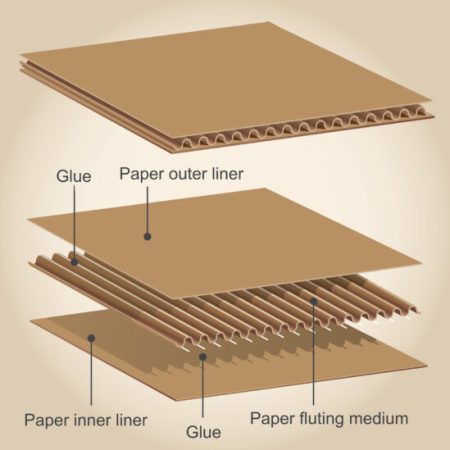 Different parts of a cardboard Different parts of a cardboard